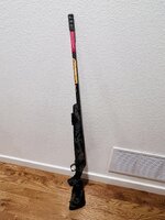 IMG_7191.jpeg