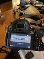 IMG_2349.jpeg