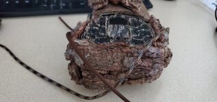 Trailcam Paracordcamo2.jpg