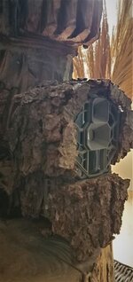 StealthCam.jpg