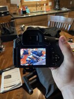 IMG_2350.jpeg