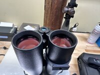 IMG_1557.jpeg IMG_1557.jpeg