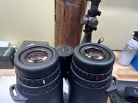 IMG_1558.jpeg IMG_1558.jpeg