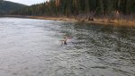 Floating in 4'+ of water.jpg