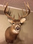2009 buck wall.jpg