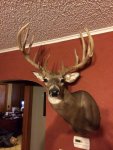 2014 buck wall.jpg