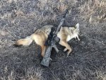 yote 12 24 18.jpg