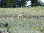 100_2256.jpg