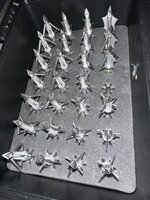 IMG_0206.jpeg