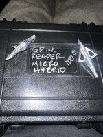 IMG_0207.jpeg
