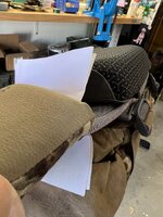 IMG_8017.jpeg