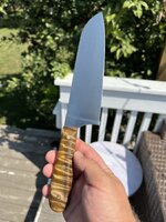 IMG_2079.jpeg