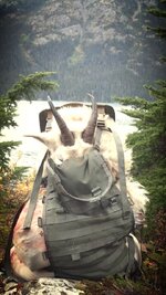 IMG_0064.jpeg