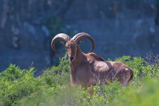 IMG_0067.jpeg IMG_0067.jpeg