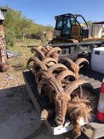 IMG_0076.jpeg IMG_0076.jpeg