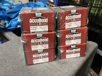 IMG_4669 Large.jpeg