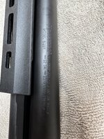 IMG_0598.jpeg