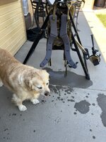 IMG_8038.jpeg