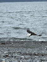 IMG_8358.jpeg