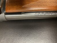 IMG_0827.jpeg