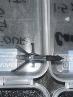 IMG_0247.jpeg
