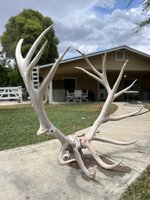 IMG_0508.jpeg