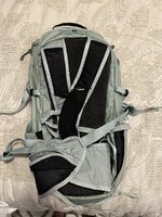 IMG_2308.jpeg