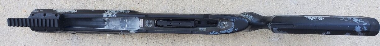 20230726_083037_resized (2).jpg