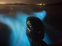 biolume 7-23.jpg