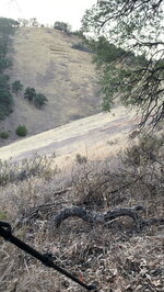 IMG_3920.jpeg
