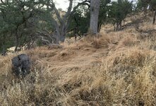 IMG_4476.jpeg