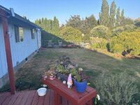 IMG_5151.jpeg IMG_5151.jpeg