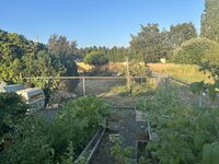 IMG_5152.jpeg IMG_5152.jpeg