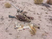20131116_094146.jpg