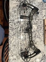 IMG_2239.jpeg