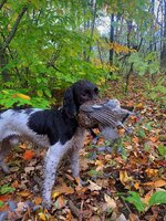 IMG_1719.jpeg
