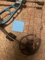 IMG_8264.jpeg