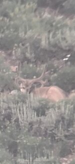 5201608F-7EE2-4212-BD93-678158E3E730.jpeg