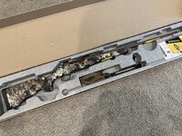IMG_1898.jpeg