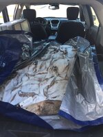 Salt cape car.jpg