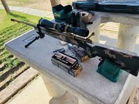 IMG_7301.jpeg