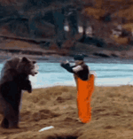 IMG_5939.gif