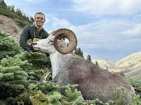 IMG_6762.jpeg IMG_6762.jpeg