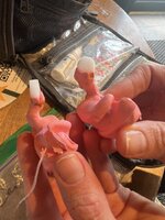 IMG_6339.jpeg