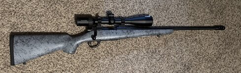 IMG_9025.jpeg