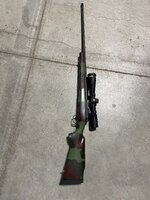IMG_2853.jpeg
