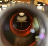 IMG_0241.jpeg