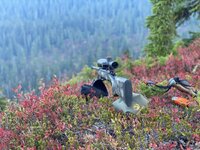 IMG_0289.jpeg