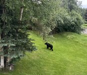 IMG_8396.jpeg