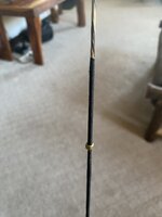 IMG_7526.jpeg